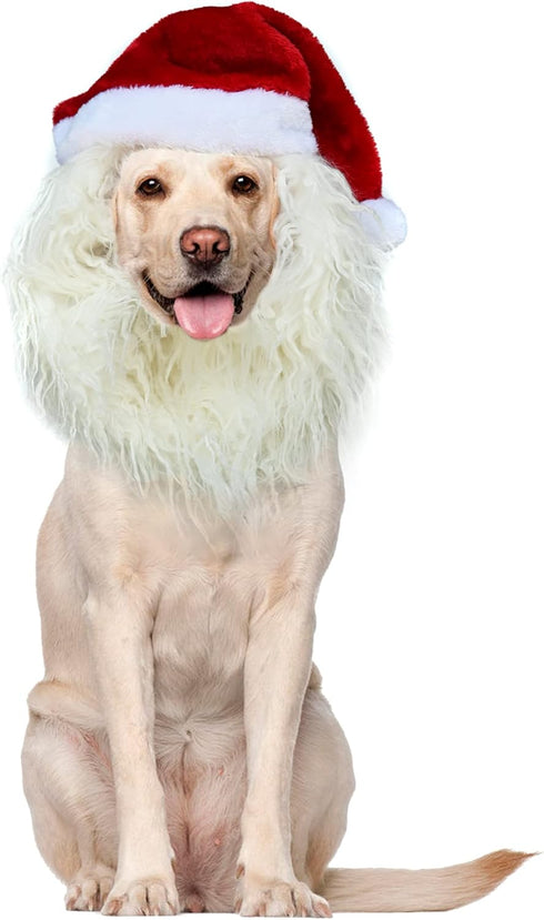 Funny Pet Reindeer Moose Costumes for Dog, Cute Furry Pet Wig for Halloween Christmas, Pet Clothing Accessories (Santa Claus, Size M)...