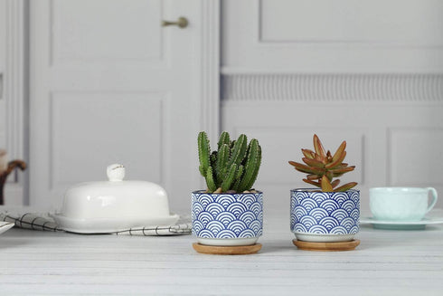 T4U 3 Inch Ceramic Succulent Planter Pots with Bamboo Tray Set of 2, Japanese Style Porcelain Handicraft as Gift for Mom Sister Aunt Best for Home...
