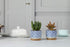 T4U 3 Inch Ceramic Succulent Planter Pots with Bamboo Tray Set of 2, Japanese Style Porcelain Handicraft as Gift for Mom Sister Aunt Best for Home...