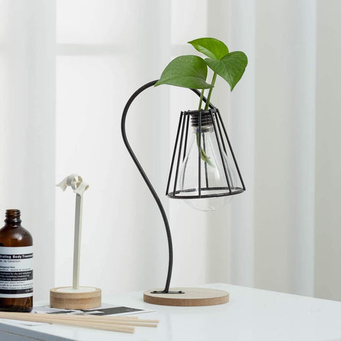 TJ Global Lamp with Glass Light Bulb Vase Planter Holder, Plant Terrarium, Propagation Station, Metal Stand for Hydroponics Plants Home Garden Wed...