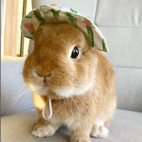 6 Pieces Small Animal Summer Hats & Sunglasses Small Pet Costume Outfit Accessories for Bunny Kitty Guinea Pig Puppy Chinchilla Ferrets...