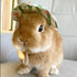 6 Pieces Small Animal Summer Hats & Sunglasses Small Pet Costume Outfit Accessories for Bunny Kitty Guinea Pig Puppy Chinchilla Ferrets...