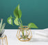 Glass Vase Nordic Small Flower Vase Clear Glass Bud Vases with Metal Geometric Iron Line Cup Vase Pot for Hydroponic Planter Flowers Rack Stand Mo...