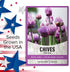 Chive Seeds for Planting is A Heirloom, Non-GMO Herb Variety- Chive Common Onion Herb Seeds Great for Indoor and Outdoor Gardening by Gardeners Ba...
