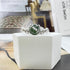 Moss Agate Ring for Women Silver Vintage Open Green Gemstone Rings for Wedding Fashion Engagement Jewelry Gifts...