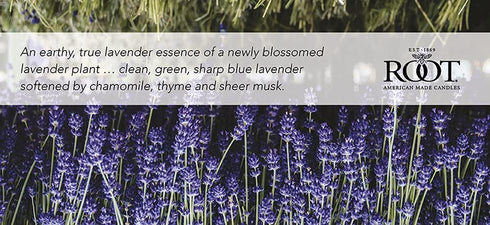 Root Candles Honeycomb Veriglass Scented Beeswax Blend Candle, English Lavender Large...