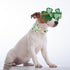 ARING PET St Patrick's Day Dog Collar-Cute Clovers Dog Collar with Flower, Adjustable Cotton Shamrock Pet Collar Puppy Collars with Metal Buckle...