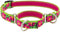Lupine Small Martingale Dog Collar 3/4" wide Petunias Adjusts from 10" to 14"...