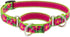 Lupine Small Martingale Dog Collar 3/4" wide Petunias Adjusts from 10" to 14"...