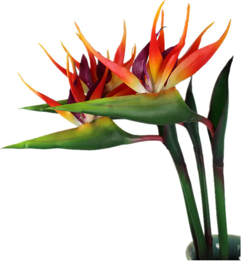 3 Pcs Large Bird of Paradise 32 Inch Permanent Flower,UV Resistant No Fade Flower Part is Made of Soft Rubber PU,Artificial Flower Plants for Home...