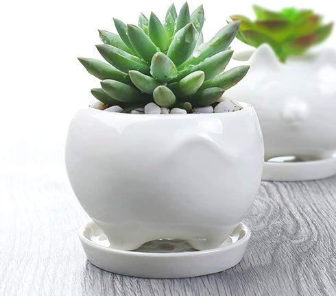 GeLive Cute Cat Succulent Planter Pot with Drainage Tray, White Ceramic Plant Container, Window Box, Unique Animal for Indoor Home Decor (White)...