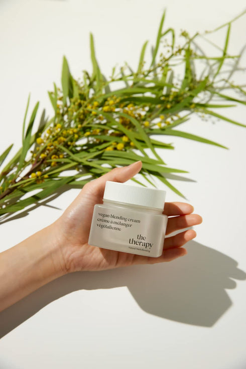 THE FACE SHOP Best Sellers Holiday Kit | Face Wash for Sensitive,Combination & Oily Skin | Organic Vegan Anti-aging Face Moisturizer | K-Beauty Sk...