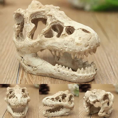 Opexicos 2Pcs 8.5 x 5.5 x 4.5 cm Resin Dinosaur Skull Aquarium Decoration Terrarium Reptile Fish Tank Ornament...