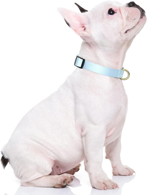 Dog Collar, Adjustable Blue Dog Collar for Small Dogs, Cute Puppy Collar for Boy and Girl Dogs, Classic Heavy Duty Pet Collars with Quick Release ...