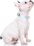 Dog Collar, Adjustable Blue Dog Collar for Small Dogs, Cute Puppy Collar for Boy and Girl Dogs, Classic Heavy Duty Pet Collars with Quick Release ...