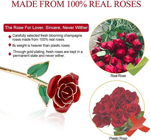 24K Red Rose Christmas Her, Eternal Love Real Gold Plated Rose Flower, Romantic Wife, Mom, Grandma, Anniversary Present, Birthday, Wedding ( Red)...