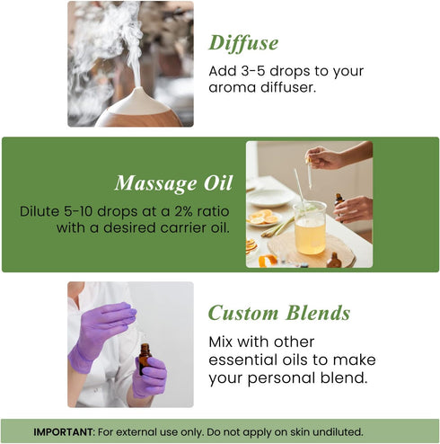 Handcraft Blends Rosemary Essential Oil – Huge 4 Fl Oz – 100% Pure and Natural – Premium Grade Essential Oil for Diffuser and Aromatherapy, Skin, ...