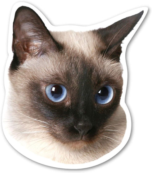 Siamese Cat Magnet is 5" x 4.375" Made for Vehicles and Refrigerators...