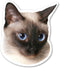 Siamese Cat Magnet is 5" x 4.375" Made for Vehicles and Refrigerators...