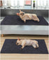 Whelping Box Liner Mat,Washable and Reusable Puppy Pad,Premium Absorbent Urine pet Mat,Under The Dog Crate Mat,Protect Your Floor, Furniture or An...