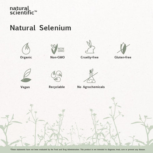 Selenium 200mcg Capsules - Organic Selenium Supplement for Antioxidant Support & Immune Health - Plant-Based, Gluten-Free, Vegetarian, Non-GMO - 6...