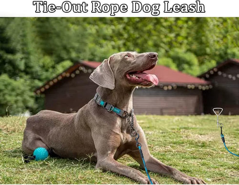 MayPaw 8FT/10FT Dog Tie Out/Check Cord, Heavy Duty Nylon Rope Training Leash, 3/8-Inch Thick Dog Tether for Strong Small Medium Large Dogs Indoor ...