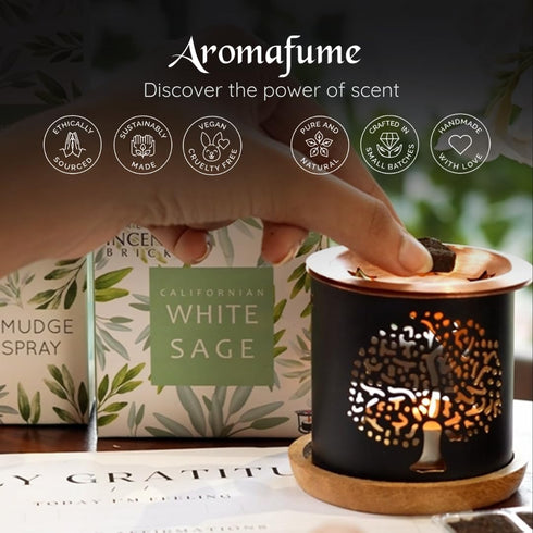 California White Sage Incense Bricks (2 x 9 Bricks) & Tree of Life Exotic Burner by Aromafume | Made with Salvia Apiana(White Sage) Extracts | Ide...