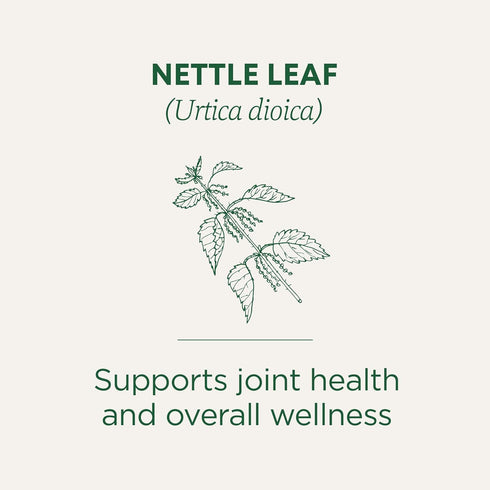 Traditional Medicinals Organic Nettle Leaf Herbal Tea, Supports Joint Health & Overall Wellness, (Pack of 1) - 16 Tea Bags...