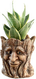 Funny Planter Head Face Plant Pot with Drainage Hole Resin Succulent Plant Holder Pencil Holder Desk Organizer Office Garden Gift (Smile Face)...