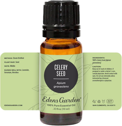 Edens Garden Celery Seed Essential Oil, 100% Pure Therapeutic Grade (Undiluted Natural/Homeopathic Aromatherapy Scented Essential Oil Singles) 10 ...