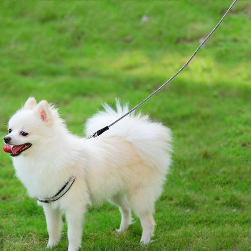 Small Dog Leash 7FT, Lightweight Nylon Rope Leash for Puppy Pets, Cats, Small Animals Medium Dogs Walking, Black...