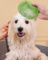 Dog Bath Brush/Dog Grooming Brush/Dog Shampoo Brush?Dog Scrubber for Bath with Pet Toothbrushes for Long Short Haired Dogs Cats Shower...