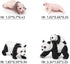 Animal Life Cycle Model Figure 4 PCS Panda Growth Model Classroom Accessories Party Supplies Cake Toppers Desktop Decoration Educational Developme...