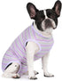 Puppy Striped Recovery Suit for Female Male Dogs Cats,Zip Up Dog Onesie Recovery Shirt Abdominal Wounds,Professional Spay Neuter Dog Pet Bodysuit ...
