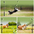 Dog Ball Launcher, Telescoping Dog Ball Thrower Launcher, Dog Ball Hands Free Pick Up and Throw Play, Up to 23 Inch Length, Includes Interchangeab...