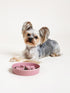 Ceramic Slow Feeder Dog Bowls Small Breed, 0.5 Cups Dog Food Dish for Fast Eaters, Puzzle Bowl for Small Dogs and Cats, 5.5 Inch-Pink...
