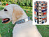Dog Collar and Leash Set, Quick Release Buckle Soft Durable Print Puppy Collars Adjustable for Small Medium Large Pet Male Dogs Boy Cat Maya M...