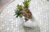 4 Pack Air Plant Holders Unique Ceramic Mini Airplants Stand Tillandsia Succulent Display Container Pot Cute Home Decor for Desk Table Shelf Windo...