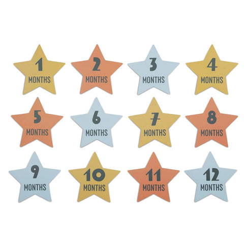Delta Children Milestone Baby Blanket – Monthly Blanket for Pictures – Photo Blanket for Newborns, Moon...