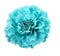 HC-01 Floral Fall Peony Flower Hair Clip Flamenco Dancer Pin up Flower Brooch (Turquoise)...