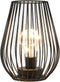 TRIROCKS Metal Cordless Table Lamp - 8'' Tall Cage Shape Battery Operated Lamp with Warm Fairy Lights Bulb for Indoor/Outdoor Use, Perfect for Chr...