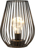 TRIROCKS Metal Cordless Table Lamp - 8'' Tall Cage Shape Battery Operated Lamp with Warm Fairy Lights Bulb for Indoor/Outdoor Use, Perfect for Chr...