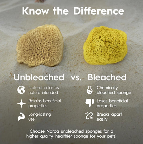 Natural Hermit Crab Sponges | Unbleached Sea Sponge for Water Drinking Safety | Aquarium Decor Balance Tank Humidity | Crab Supplies Accessories 5...