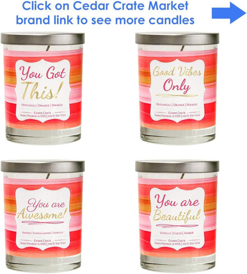 You are Awesome! Best Friend Candle, Friendship Gifts for Women, Birthday Gifts for Friends Female, Christmas Candle, Mother’s Day, Long Distance ...