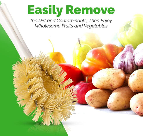 Stanley Home Products Original Vegetable Brush - Sturdy Compact Kitchen Brush for Small to Medium Veggies and Fruits - Removes Dirt Cleans Effecti...