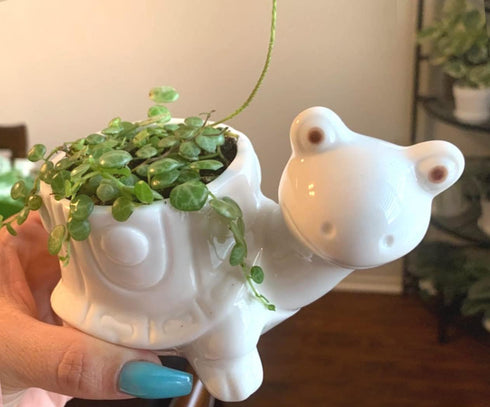 GeLive Tortoise Succulent Planter Turtle Plant Pot Animal Fun Vase Window Box Cute Home Decoration, 5 Inch, Indoor Outdoor...
