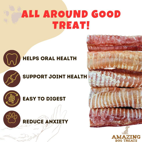 Amazing Dog Treats - 6 Inch Beef Trachea Dog Chews (5 pcs - 8 oz) - Trachea Dog Treats - NO Hide - Digestible and Safe Chews for Dogs - Glucosamin...