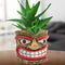 Novelty Tiki Head Indoor Little Planter Pot, Funny Succulent Plant Pot,Cute Easter Island Home Decor Flower Pot,Unique Face Resin Flowerpot with H...