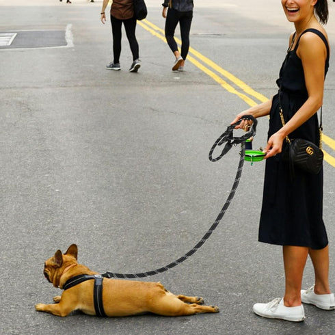 CBBPET Highly Reflective Threads Dog Leash for Large Medium Small Dogs,Heavy Duty Dog Leash,Durable Puppy Training Leashes...