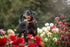 Floral Dog Collar for Large Dogs, Designer Girl Dog Collar with Flower Bow, Quick Release Dog Wedding Collar...